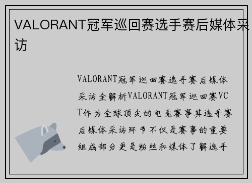 VALORANT冠军巡回赛选手赛后媒体采访