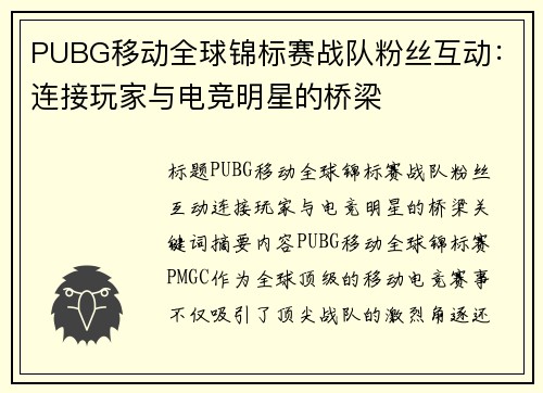 PUBG移动全球锦标赛战队粉丝互动：连接玩家与电竞明星的桥梁